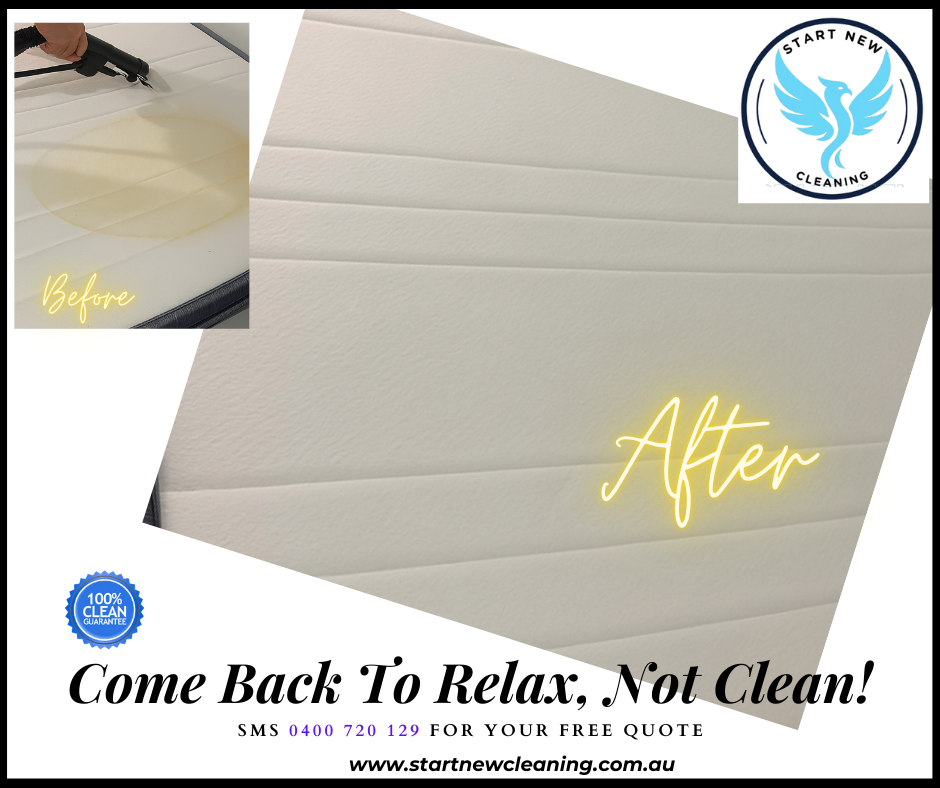 Start New Cleaning Brisbane's Affordable Mattress Cleaning Services 16 www.startnewclean.com.au Start New Cleaning Brisbane's Affordable Mattress Cleaning Services 16 www.startnewclean.com.au